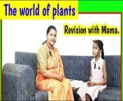 parts of a plants &#124; growth of plants &#124; seed to plant growth &#124; parts of plants in english &#124; #plants&#60;br/&#62;#englishspeakingpractice #growthofplants #partofplantsnameinenglish