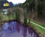 Nature can sometimes pull off some pretty neat tricks and in Germany’s southern state of Bavaria, a quarry lake has, with no human intervention, turned a beautiful deep purple, attracting visitors from all over the area, interested in the science and esthetic of the odd-looking phenomenon.Yair Ben-Dor has more.