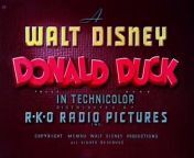 Donald Duck - Old MacDonald Duck .. 1941Disney Toon from toon ass