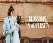 Blossoms in Adversity - Episode 23 (EngSub)
