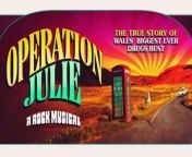 Operation Julie reception and tour information from vale castaneda