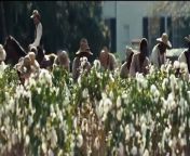 12 Years a Slave Bande-annonce (FR) from bfi slave