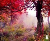 30 MinutesRelaxing Meditation Music • Inspiring Music, Sleepand calm anxiety (Red leaves) @432Hz from hp lounge