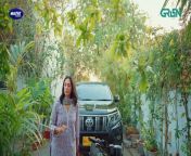Let's Try Mohabbat EP 01 l Mawra Hussain l Danyal Zafar l Digitally Presented By Master Paints from mawra hocane