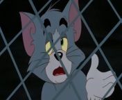 Tom and Jerry The M o ESub 2 from toodles galore tom and jerry cartoon sexnxx sex