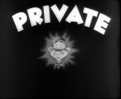 Private Snafu - Target Snafu (1944) World War 2 - HD Cartoon from kiran rathod private call