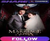 flash marriage with my alpha PART 1 - Comva Studio from webcam flash
