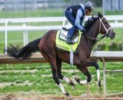 Kentucky Derby Odds: Horses to Watch in the Upcoming Race from triple penetration 3gp