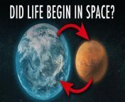 Did Humans Come From Outer Space? from سکس حنا video download come