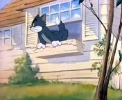 Tom And Jerry- 009 - Suferrin Cats!
