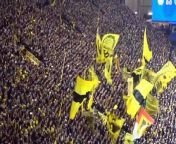 PSG vs Borussia Dortmund 0 x 1 All Goals &amp; Highlights - Champions League 2024