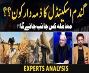 #wheatscandal #wheat #wheatcrisis #breakingnews #thereporters &#60;br/&#62;#chghulamhussain&#60;br/&#62;&#60;br/&#62;Who is responsible for the wheat scandal? Experts Analysis &#60;br/&#62;