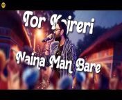 Magan _ Full Song _ New Cg Song 2024 _ Toshant Kumar _ Suman _ Monika Verma _ Cg Romantic Song from monika hindi