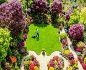 Stunning pictures show a couple’s spectacular ‘four seasons’ garden bursting with spring colours – hidden in the industrial heartland of the Black Country.&#60;br/&#62;&#60;br/&#62;Tony Newton, 74, and wife Marie, 76, have devoted 42 years and more than £15,000 &#60;br/&#62;transforming their ordinary suburban garden into an idyllic oasis.&#60;br/&#62;&#60;br/&#62;Their garden in Walsall, West Mids., features more than 3,000 plants and flowers, including 450 azalea, 120 Japanese maples, 15 juniper blue stars.&#60;br/&#62;&#60;br/&#62;Locals have nicknamed the stunning garden ‘four seasons’ after the couple deliberately planted different flowers to bloom all year round.&#60;br/&#62;&#60;br/&#62;The green-fingered couple spend up to eight hours every day maintaining the quarter-of-an-acre plot which attracts visitors from around the world.&#60;br/&#62;&#60;br/&#62;Marie said: “Over the years we’ve had a lot of interest. Someone flew in from New York. &#60;br/&#62;&#60;br/&#62;“We’ve had a lot of Chinese tourists. We’ve been all over the world. &#60;br/&#62;&#60;br/&#62;“We had a couple of Chinese girls come down from Sheffield on a landscape course. Back in China they’d heard even about us. &#60;br/&#62;&#60;br/&#62;“We used to open the garden once a year to the public but we now share it with just family and friends.”&#60;br/&#62;&#60;br/&#62;Marie started gardening as a hobby after she retired from her job as a transport planner in 1982.&#60;br/&#62;&#60;br/&#62;When Tony retired as a GP a couple of years later, the couple dedicated their time to cultivating their garden paradise.&#60;br/&#62;&#60;br/&#62;Marie recalled: “I used to work on the grass and the borders a little here and there.&#60;br/&#62;&#60;br/&#62;“I had to stay in ear shot of the landline and we had four children in five years so we were very busy. &#60;br/&#62;&#60;br/&#62;“The garden became a feature to keep them entertained. &#60;br/&#62;&#60;br/&#62;“We started in 1992 to develop it. We made the garden safe for the kids and attracted the children. &#60;br/&#62;&#60;br/&#62;“After ten years they got more sophisticated. Between 1992 and 1995 we landscaped all of it. We did it all ourselves, without any outside help. &#60;br/&#62;&#60;br/&#62;“Tony laid the paths and I was quite happy to wield a pickaxe. &#60;br/&#62;&#60;br/&#62;“It’s gradually evolved over the years. In 2000 we built a stream and two years later built a second stream.&#60;br/&#62;&#60;br/&#62;“We used to use head torches in the dark evenings and do the work in the garden.&#60;br/&#62;&#60;br/&#62;“It’s the Black Country and as we always say it’s where the black country turns green. We have no houses behind us. &#60;br/&#62;&#60;br/&#62;“We’ve got a variety of evergreens. We created the garden with lots of views, anchor plants. Spring and autumn are the two most vivid. &#60;br/&#62;&#60;br/&#62;“They all turn lovely colours. The main trees we’ve got are maples and acers. &#60;br/&#62;&#60;br/&#62;“They’re just brilliant colours. In the winter it’s lots and lots of bulbs. We’ve got colour all year round. &#60;br/&#62;&#60;br/&#62;“A lot of neighbours ask advice sometimes, we all have larger gardens. We’ve had no formal training. It’s just been trial and error, a lot of error. &#60;br/&#62;&#60;br/&#62;“We know what we need now. You have to look at the plants to see which is being the most dominant. Sometimes you have to meditate. &#60;br/&#62;&#60;br/&#62;“We’ve been here for 42 years now and we’ve mastered our garden.