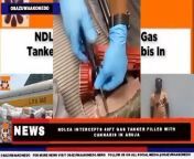 NDLEA Intercepts 40ft Gas Tanker Filled With Cannabis In Abuja ~ OsazuwaAkonedo #IllicitDrugs #Abia #Abuja #Anambra #cannabis #Lagos #Nigeria #SouthAfrica #Tanker Nigeria Anti Drugs Police, National Drug Law Enforcement Agency, NDLEA Has Intercepted A Tanker Filled With Bags Of Cannabis In Abuja. https://osazuwaakonedo.news/ndlea-intercepts-40ft-gas-tanker-filled-with-cannabis-in-abuja/05/05/2024/ #NDLEA Published: May 5th, 2024 Reshared: May 5, 2024 10:46 pm