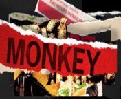THE ROLLING STONES - MONKEY MAN (LYRIC VIDEO) (Monkey Man)&#60;br/&#62;&#60;br/&#62; Film Producer: Julian Klein, Robin Klein, Dina Kanner&#60;br/&#62; Film Director: Lucy Dawkins, Tom Readdy&#60;br/&#62; Composer Lyricist: Mick Jagger, Keith Richards&#60;br/&#62;&#60;br/&#62;© 2019 ABKCO Music &amp; Records, Inc.&#60;br/&#62;
