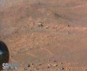 NASA&#39;s Mars helicopter Ingenuity flew for the 51st time. The Perseverance rover can be seen in the distance during the flight in an enhanced color image. &#60;br/&#62;&#60;br/&#62;Credit: Space.com &#124; footage courtesy: NASA/JPL-Caltech &#124; edited by Steve Spaleta