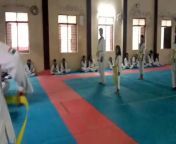 Taekwondo players from chhindwara mms naseem