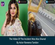 A shocking video of a leopard being hit by a car has gone viral on social media. The location where the incident took place is not known yet. The video of the incident was also shared by actor Raveena Tandon. The actor tweeted, “I hope our politicians wake up to the fact that linear development can happen hand in hand with well thought of conservation methods.” Another video shows the leopard being stuck under the bonnet of the car. Then the leopard is seen running away from the spot. The video has garnered thousands of views and comments. One user said, “Animals get killed due to badly planned linear infrastructure day in and day out across the country.” Another user said, “This is painful beyond words.” Watch the video to know more.