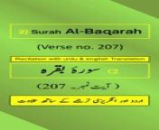 In this video, we present the beautiful recitation of Surah Al-Baqarah Ayah/Verse/Ayat 207 in Arabic, accompanied by English and Urdu translations with on-screen display. To facilitate a comprehensive understanding, we have included accurate and eloquent translations in English and Urdu.&#60;br/&#62;&#60;br/&#62;Surah Al-Baqarah, Ayah 207 (Arabic Recitation): “ وَمِنَ ٱلنَّاسِ مَن يَشۡرِي نَفۡسَهُ ٱبۡتِغَآءَ مَرۡضَاتِ ٱللَّهِۚ وَٱللَّهُ رَءُوفُۢ بِٱلۡعِبَادِ ”&#60;br/&#62;&#60;br/&#62;Surah Al-Baqarah, Verse 207 (English Translation): “ And of the people is he who sells himself, seeking means to the approval of Allāh. And Allāh is Kind to [His] servants. ”&#60;br/&#62;&#60;br/&#62;Surah Al-Baqarah, Ayat 207 (Urdu Translation): “ اور بعض لوگ وه بھی ہیں کہ اللہ تعالیٰ کی رضامندی کی طلب میں اپنی جان تک بیچ ڈالتے ہیںاور اللہ تعالیٰ اپنے بندوں پر بڑی مہربانی کرنے واﻻ ہے۔ ”&#60;br/&#62;&#60;br/&#62;The English translation by Saheeh International and the Urdu translation by Maulana Muhammad Junagarhi, both published by the renowned King Fahd Glorious Qur&#39;an Printing Complex (KFGQPC). Surah Al-Baqarah is the second chapter of the Quran.&#60;br/&#62;&#60;br/&#62;For our Arabic, English, and Urdu speaking audiences, we have provided recitation of Ayah 207 in Arabic and translations of Surah Al-Baqarah Verse/Ayat 207 in English/Urdu.&#60;br/&#62;&#60;br/&#62;Join Us On Social Media: Don&#39;t forget to subscribe, follow, like, share, retweet, and comment on all social media platforms on @QuranHadithPro . &#60;br/&#62;➡All Social Handles: https://www.linktr.ee/quranhadithpro&#60;br/&#62;&#60;br/&#62;Copyright DISCLAIMER: ➡ https://rebrand.ly/CopyrightDisclaimer_QuranHadithPro &#60;br/&#62;Privacy Policy and Affiliate/Referral/Third Party DISCLOSURE: ➡ https://rebrand.ly/PrivacyPolicyDisclosure_QuranHadithPro &#60;br/&#62;&#60;br/&#62;#SurahAlBaqarah #surahbaqarah #SurahBaqara #surahbakara #SurahBakarah #quranhadithpro #qurantranslation #verse207 #ayah207 #ayat207 #QuranRecitation #qurantilawat #quranverses #quranicverse #EnglishTranslation #UrduTranslation #IslamicTeachings #سورہ_بقرہ# سورةالبقرة .