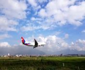 Nepal Airbus A330 Annapurna Landing in Tribhuvan International Airport Kathmandu &#124; Widebody &#60;br/&#62;&#60;br/&#62;tribhuvan international airport,nepal airlines,kathmandu airport,tia plane spotting,business class,airbus a330-200,nepal airlines a330,nepal airlines a320,nepal airlines landing in kathmandu,nepal airlines a330 landing,nepal airlines a320 landing,nepal airlines widebody plane landing in kathmandu airport,nepal airlines widebody landing,nac widebody,nac a330,nac widebody landing,nac a330 landing,nac a320 landing,nac landing kathmandu,kathmandu plane landing