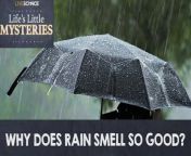 Do you love the good smell of rain? If so, you&#39;re not alone.