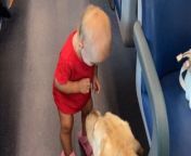 In this heartwarming video, a toddler girl playing with a dog on a train fills the atmosphere with joy through her infectious giggles. Passengers around her are visibly delighted, their faces lighting up with smiles as they witness the adorable interaction. The innocence and happiness radiating from the child&#39;s laughter create a wholesome moment that touches the hearts of everyone onboard. It&#39;s a beautiful reminder of the simple joys in life and the power of genuine laughter to bring people together, even in the most unexpected of places.&#60;br/&#62;Location: Italy&#60;br/&#62;WooGlobe Ref : WGA909355&#60;br/&#62;For licensing and to use this video, please email licensing@wooglobe.com