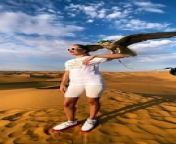 Falcon on hand, Dubai desert safari: majestic moments.