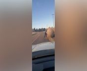 State trooper moves large hay bale out of road: &#39;Never miss leg day&#39;Missouri State Highway Patrol