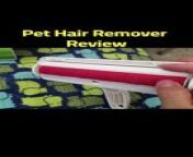 If you&#39;re a pet owner, then you know firsthand the never-ending battle against pet hair. It seems to attach itself to every surface, from your furniture to your clothes, making it impossible to escape those dreaded fuzzy reminders of your furry friends. But fear not, because we may have found the ultimate solution to your pet hair woes. Introducing the ChomChom Roller Pet Hair Remover - the cat and dog hair remover for furniture that promises to banish those pesky strands of fur with ease. In this review, we&#39;ll dive into the features, effectiveness, and overall performance of this innovative product, so you can finally say goodbye to that constant struggle of cat hair removal