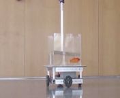 A goldfish drives a water-filled, motorized &#92;