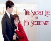 The Secret Life of My Secretary (Season 1) (Hindi Dubbed) &#60;br/&#62;Storyline :&#60;br/&#62;Do Min Ik is an intelligent, perfectionist man with a heart of stone and the Chief of Team 1 at T&amp;T Mobile Media who always relies on his secretary, the hot-tempered Jung Gal Hee. Although she diligently carries out the tasks her mean boss instructs her to do, she does not hold back in saying what she wishes to say. Will an office romance blossom?&#60;br/&#62;&#60;br/&#62;Also Known As: &#60;br/&#62;Chomyeone Saranghamnida , How to Train Your Blind Boss , I Love You From The Beginning , Hitting on the Blind Boss , Love at First Sight , Chomyune Saranghabmida , I Loved You from the Start , I Loved You From The&#60;br/&#62;&#60;br/&#62;Tags:&#60;br/&#62;Boss-Employee Relationship, Prosopagnosia, Double Identity, Rich Woman/Poor Man, Eccentric Male Lead, Rich Male Lead, Office Worker, Smart Male Lead, Secondary Couple, Disability,Kim Young-kwang,Jin Ki-joo,Koo Ja-sung,Kim Jae-kyung