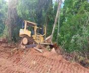 #bulldozerforest #heavyequipment #caterpillar #bulldozer &#60;br/&#62;&#60;br/&#62;Welcome to our channel! In this video, we delve into the efficient steps for palm oil land clearing, focusing on the use of the powerful D6R XL Bulldozer. Discover how this machine revolutionizes the process, making it easier and more effective. Whether you&#39;re a seasoned professional or a novice in the field, mastering these techniques can significantly enhance your clearing operations. Watch now to unlock the secrets of efficient palm oil land clearing!&#60;br/&#62;&#60;br/&#62;#PalmOilLandClearing&#60;br/&#62;#D6RXLBulldozer&#60;br/&#62;#Efficiency&#60;br/&#62;#LandClearingTechniques&#60;br/&#62;#AgriculturalMachinery&#60;br/&#62;#FarmingTips&#60;br/&#62;#SustainableAgriculture&#60;br/&#62;#EcoFriendlyClearing&#60;br/&#62;#FarmEquipment&#60;br/&#62;#YouTubeTutorial