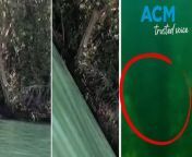 A Queensland mother shared the &#39;shocking&#39; moment she unknowingly filmed a saltwater crocodile swimming just meters away from her children while enjoying a weekend swim at Rollingstone Creek, north of Townsville, only realizing the danger when she reviewed the footage at home.