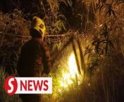 The forest fire at Broga Hill in Semenyih, Selangor which began late Sunday evening was fully extinguished early Monday (March 18) morning.&#60;br/&#62;&#60;br/&#62;Read more at https://shorturl.at/cvDP7&#60;br/&#62;&#60;br/&#62;WATCH MORE: https://thestartv.com/c/news&#60;br/&#62;SUBSCRIBE: https://cutt.ly/TheStar&#60;br/&#62;LIKE: https://fb.com/TheStarOnline