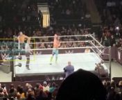 Roman reigns destroy Seth Rollins at WWE Supershow