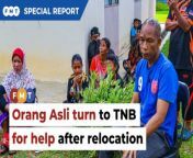 Relocated to accommodate the construction of a dam, the struggling villagers plead for more compensation and promised ‘palm oil dividends’. &#60;br/&#62;&#60;br/&#62;Read More: https://www.freemalaysiatoday.com/category/nation/2024/03/15/13-years-on-kg-pinangs-orang-asli-look-to-tnb-for-help/&#60;br/&#62;&#60;br/&#62;Laporan Lanjut: https://www.freemalaysiatoday.com/category/bahasa/tempatan/2024/03/15/setelah-13-tahun-orang-asli-kg-pinang-rayu-bantuan-tnb/&#60;br/&#62;&#60;br/&#62;Free Malaysia Today is an independent, bi-lingual news portal with a focus on Malaysian current affairs.&#60;br/&#62;&#60;br/&#62;Subscribe to our channel - http://bit.ly/2Qo08ry&#60;br/&#62;------------------------------------------------------------------------------------------------------------------------------------------------------&#60;br/&#62;Check us out at https://www.freemalaysiatoday.com&#60;br/&#62;Follow FMT on Facebook: https://bit.ly/49JJoo5&#60;br/&#62;Follow FMT on Dailymotion: https://bit.ly/2WGITHM&#60;br/&#62;Follow FMT on X: https://bit.ly/48zARSW &#60;br/&#62;Follow FMT on Instagram: https://bit.ly/48Cq76h&#60;br/&#62;Follow FMT on TikTok : https://bit.ly/3uKuQFp&#60;br/&#62;Follow FMT Berita on TikTok: https://bit.ly/48vpnQG &#60;br/&#62;Follow FMT Telegram - https://bit.ly/42VyzMX&#60;br/&#62;Follow FMT LinkedIn - https://bit.ly/42YytEb&#60;br/&#62;Follow FMT Lifestyle on Instagram: https://bit.ly/42WrsUj&#60;br/&#62;Follow FMT on WhatsApp: https://bit.ly/49GMbxW &#60;br/&#62;------------------------------------------------------------------------------------------------------------------------------------------------------&#60;br/&#62;Download FMT News App:&#60;br/&#62;Google Play – http://bit.ly/2YSuV46&#60;br/&#62;App Store – https://apple.co/2HNH7gZ&#60;br/&#62;Huawei AppGallery - https://bit.ly/2D2OpNP&#60;br/&#62;&#60;br/&#62;#FMTNews #OrangAsli #CameronHighlands #TNB #KampungPinang