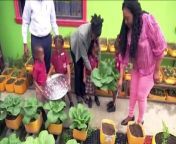 The Little Jewels Early Childhood Centre launched its 4-H Club on Tuesday, under the name, Busy Green Thumbs 4-H Club, in Mason Hall Tobago. TV6&#39;S Elizabeth Williams was on hand to observe the children and has this report.