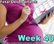 By week 40, fetal development should be 100-percent complete and your baby will be born?or just about! Wondering what to expect for the next few days to delivery? http://Pregnancy.Healthguru...