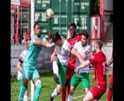 Carshalton v Bognor Regis Town in pictures - Isthmian premier division clash ends 3-3 - images by Lyn Phillips and Trevor Staff