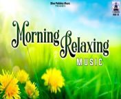 Morning Relaxing Music ~ Meditation Music~ Positive Feelings and Energy ~Study~Stress Relief Music&#60;br/&#62;&#60;br/&#62; Track information:&#60;br/&#62;Title: Morning Relaxing Music &#60;br/&#62;Composer/Music:Ashish Ahuja &#60;br/&#62;Label: Ambey &#60;br/&#62;&#60;br/&#62;ARMS-146-12/RMS-26/NA&#60;br/&#62;&#60;br/&#62;Start your day with &#92;