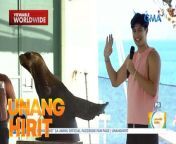 Naghahanap ng mapupuntahan ngayong weekend? Tara na sa Subic at maki-bonding kasama ang mga sea lion! Panoorin ang video.&#60;br/&#62;&#60;br/&#62;Hosted by the country’s top anchors and hosts, &#39;Unang Hirit&#39; is a weekday morning show that provides its viewers with a daily dose of news and practical feature stories.&#60;br/&#62;&#60;br/&#62;Watch it from Monday to Friday, 5:30 AM on GMA Network! Subscribe to youtube.com/gmapublicaffairs for our full episodes.&#60;br/&#62;&#60;br/&#62;