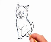 How To Draw Cat and rabbitDrawing Easy Cartoon Drawing&#60;br/&#62;Welcome to my Channel and thank you for watching my drawing tutorial about cat and rabbit.&#60;br/&#62;drawing,cute drawings,easy drawing,cartoon drawings,drawing for kids,drawing tutorial,drawing easy,simple drawing,cartoon drawing,directed drawing,very easy drawing,drawings,cute easy drawings,easy drawings,drawings for beginners,drawing cat,cat drawing,easy drawings for kids to learn,cat drawing easy,cute cat drawing,cartoon cat drawing tutorial,cartoon cat drawing,step by step drawing,rabbit drawing cartoon&#60;br/&#62;how to draw a cat easy&#60;br/&#62;cat kaise banate hain&#60;br/&#62;cat easy drawing&#60;br/&#62;simple cat drawing&#60;br/&#62;how to make a cat&#60;br/&#62;#drawing #cat #drawingtutorial &#60;br/&#62;&#60;br/&#62;For more interesting drawing tutorials please subscribe my channel and press the bell icon for notification.&#60;br/&#62;&#60;br/&#62;&#60;br/&#62;&#60;br/&#62;Song: Warrio - Mortals (feat. Laura Brehm) [NCS Release]&#60;br/&#62;Music provided by NoCopyrightSounds.&#60;br/&#62;Video Link: https://youtu.be/yJg-Y5byMMw