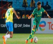 VIDEO | CAF Champions League Highlights: Mamelodi Sundowns vs Young Africans from tor young