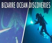 25 Bizarre Discoveries In The Deep Sea | Unveiled XL from deep pa xxx