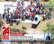Pinakawalan sa gubat ng Apayao ang Philippine Eagle na aksidenteng nahuli nitong Marso.&#60;br/&#62;&#60;br/&#62;&#60;br/&#62;24 Oras Weekend is GMA Network’s flagship newscast, anchored by Ivan Mayrina and Pia Arcangel. It airs on GMA-7, Saturdays and Sundays at 5:30 PM (PHL Time). For more videos from 24 Oras Weekend, visit http://www.gmanews.tv/24orasweekend.&#60;br/&#62;&#60;br/&#62;#GMAIntegratedNews #KapusoStream&#60;br/&#62;&#60;br/&#62;Breaking news and stories from the Philippines and abroad:&#60;br/&#62;GMA Integrated News Portal: http://www.gmanews.tv&#60;br/&#62;Facebook: http://www.facebook.com/gmanews&#60;br/&#62;TikTok: https://www.tiktok.com/@gmanews&#60;br/&#62;Twitter: http://www.twitter.com/gmanews&#60;br/&#62;Instagram: http://www.instagram.com/gmanews&#60;br/&#62;&#60;br/&#62;GMA Network Kapuso programs on GMA Pinoy TV: https://gmapinoytv.com/subscribe