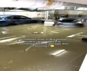 The residents of a townhouse block in Burwood, New South Wales, were shocked when they went to their shared basement garage. Their cars were submerged in flood water. The damage and mess brought out a worrisome reaction from the owners.