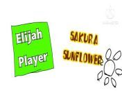 Elijah Player\ Sakura Sunflower Music (Friday Night Music) from diyana sakura blowjob
