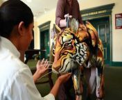 Up close and personal with the Life of Pi tiger in Nottingham