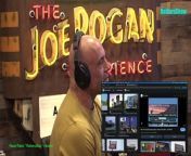 Episode 2137 Michelle Dowd - The Joe Rogan Experience Video - Episode latest update